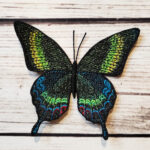 Green-Butterfly-lace-motif
