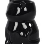 12269-FI_11638d-cat-candle
