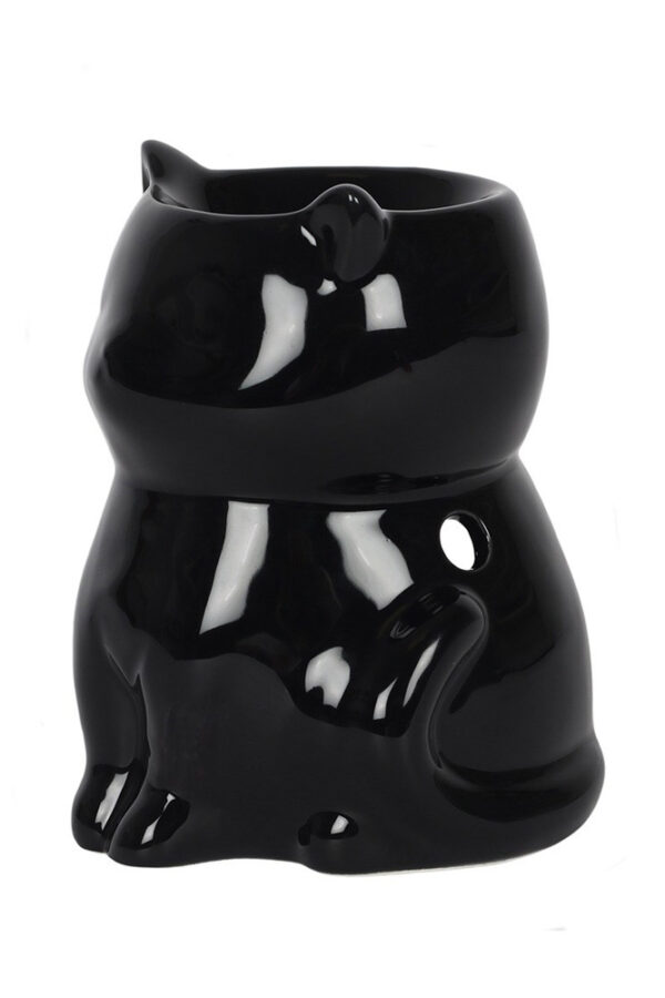 12269-FI_11638d-cat-candle