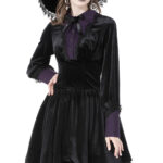 Deianira Purple Placket Black Velvet Witchy Gothic Dress