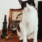 Faust's Familiar Black Cat Candlestick by Alchemy Gothic and Vampire Tears Candle