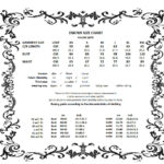 13337-DW769-gothic-dress-17
