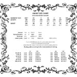 13774-KW307-gothic-skirt-17