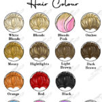 14412-hair-colour-choices