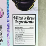 14563-witch-lady-bag-5