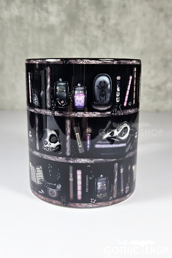 witchy curios rustic grey bookshelves ceramic mug