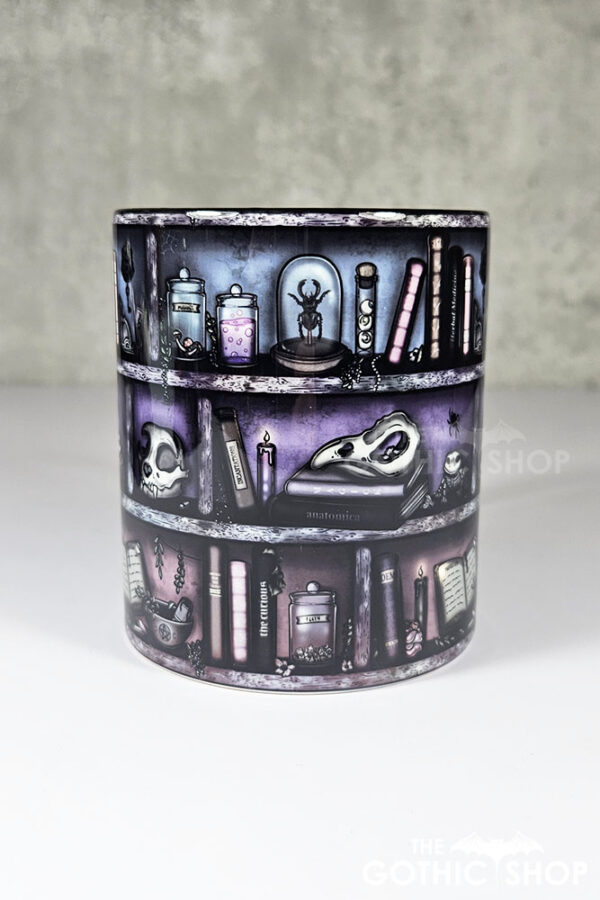 witchy curios rustic grungy colours bookshelves ceramic mug