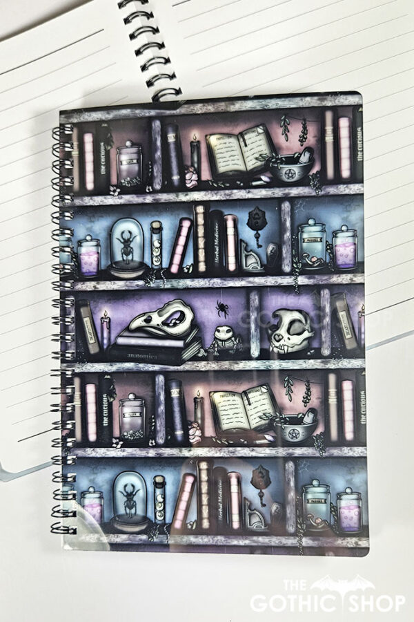 witchy curios rustic grungy colours bookshelves a5 notebook journal