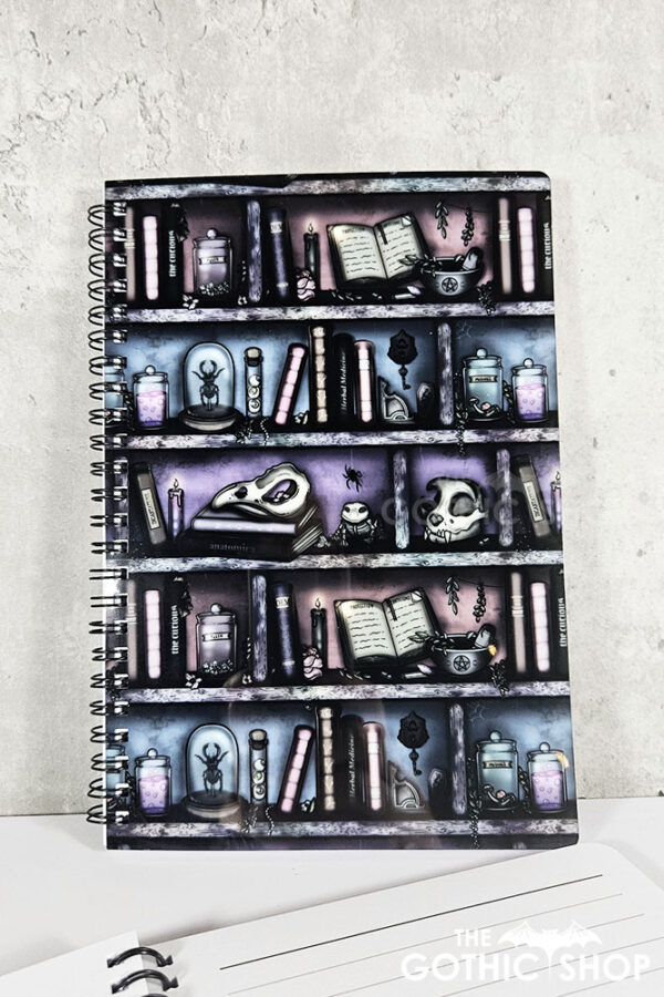 witchy curios rustic grungy colours bookshelves a5 notebook journal