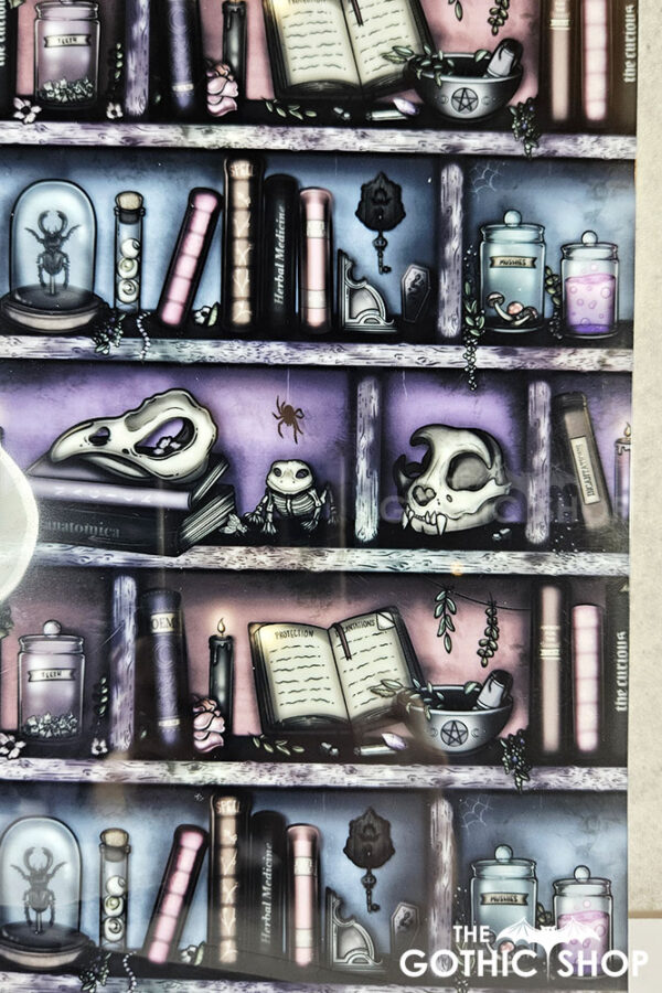 witchy curios rustic grungy colours bookshelves a5 notebook journal