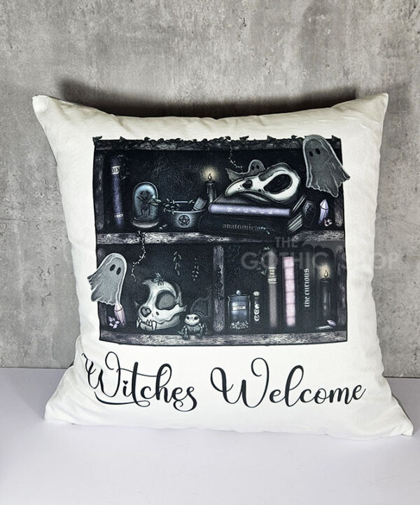 haunted ghosties curios rustic grungy bookshelves gothic velvet cushion