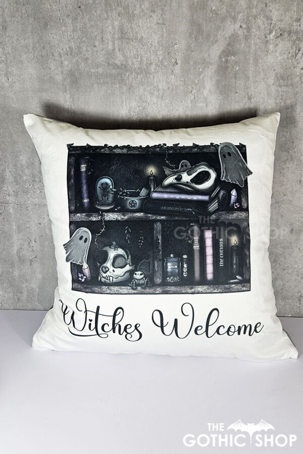 haunted ghosties curios rustic grungy bookshelves gothic velvet cushion