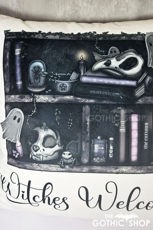 haunted ghosties curios rustic grungy bookshelves gothic velvet cushion