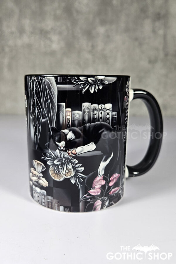 cottagecore bookshelves mushrooms and black/white cat ceramic mug