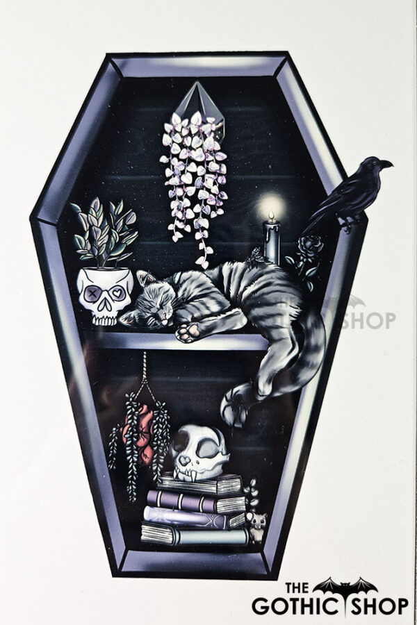 witchy curios & grey cat coffin bookshelf rectangular tin