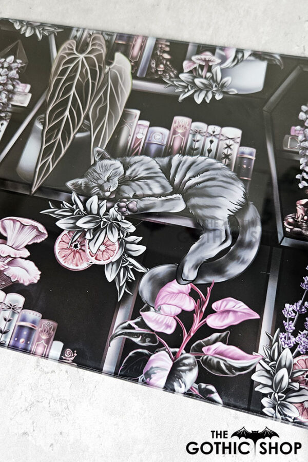 cottagecore grey tabby cat coffin bookshelves bookish glass chopping board or worktop protector