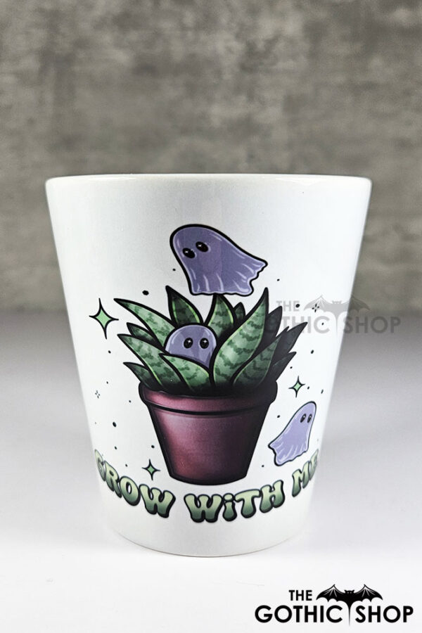 grow with me ghosties cactus small plant pot
