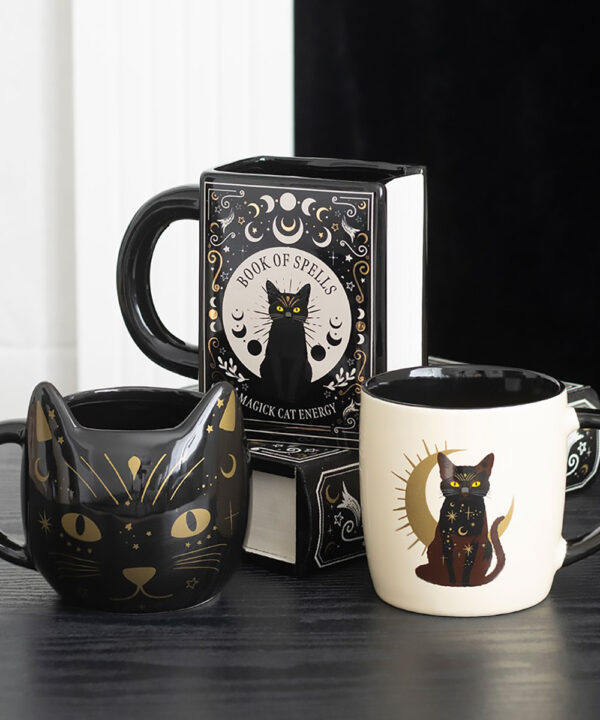 sitting magick black cat celestial witchy mug