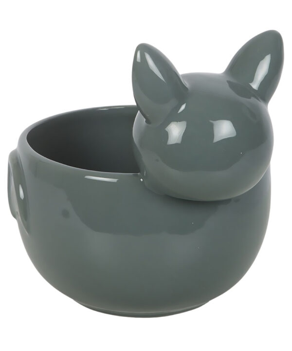 cute bat bowl