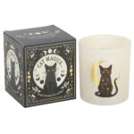 black cat magick black fig candle