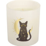 black cat magick black fig candle