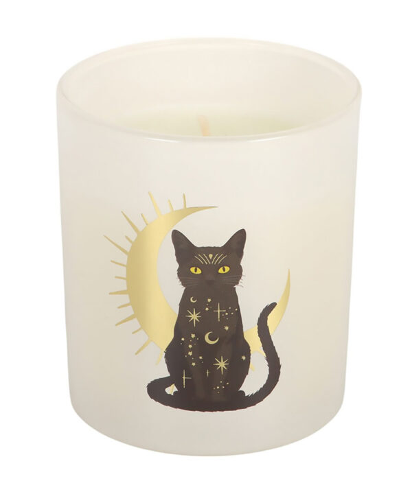 black cat magick black fig candle
