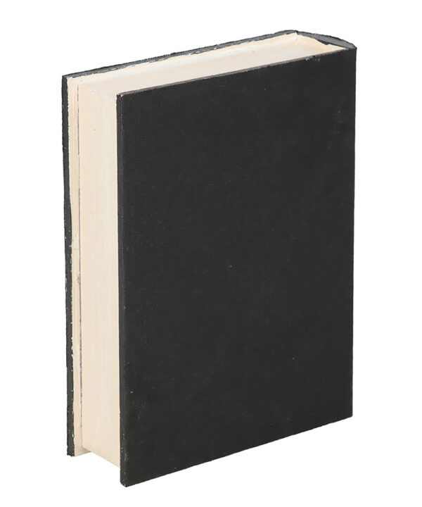 the raven book shaped storage box