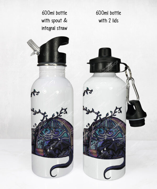 20421 magic dragon mystical water bottle 3